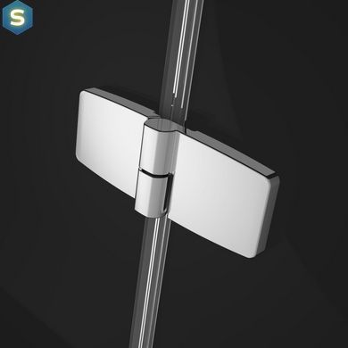 Душові двері Radaway Fuenta New DWJS 110 см 384030-01-01R+384090-01-01