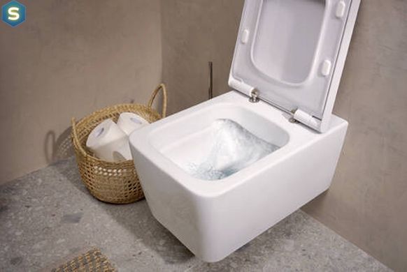 Унітаз підвісний Hansgrohe EluPura Q з інсталяцією iFrame 60301100, Білий