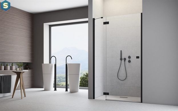 Душові двері Radaway Essenza New Black DWJ 100 см 385014-54-01L