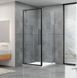 Душова кабіна Dusel DL198B + DL196B Black Matt 1000x1000x1900, Черный матовый, прозорий, чорний матовий, 100x100