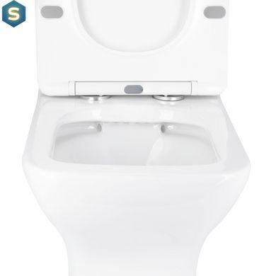 Унітаз підлоговий Qtap Aries Rimless безобідковий з сидінням Soft-close White QT03228302W, Білий