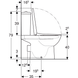 Унитаз-компакт Geberit Selnova Rimfree 501.753.00.1 с сидением Soft Close, Белый