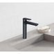 Змішувач для умивальника Kludi Pure&Style DN 15 чорний мат 402963975