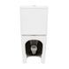 Унітаз-компакт Qtap Scorpio безободковий Ultra Quiet з сидінням Soft-close QT14222125AUQW, Білий