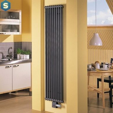 Радіатор опалення Cordivari Ardesia чорний матовий 180x46 2 елементний AR3101800S09T01A, Черный матовый