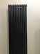 Дизайнерский радиатор Betatherm Elipse 1 H-1800мм, L-445мм с нижним подключением BCV1180/11 9005M 99, Черный матовый