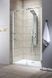 Душевая дверь Radaway Espera DWJ 110 см 380545-01R+380211-01R
