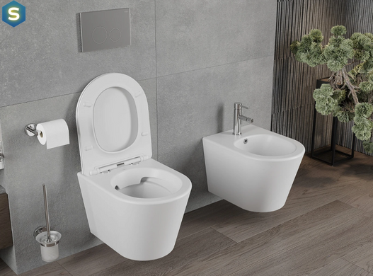 Підвісний унітаз Mexen Rico White Matt MEX-30724001, Белый матовый
