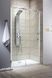 Душові двері Radaway Espera DWJ 110 см 380545-01L+380211-01L