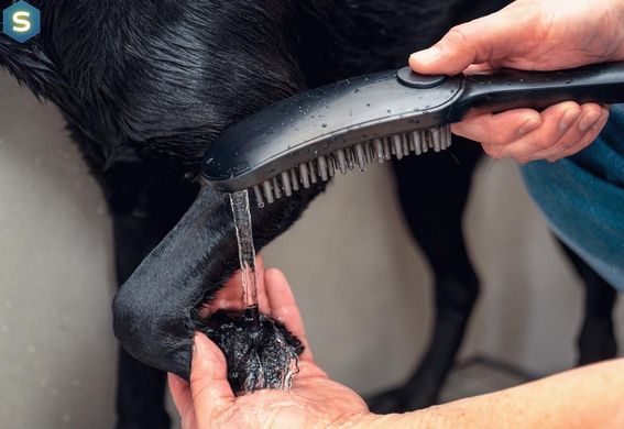 Ручний душ Hansgrohe DogShower 150 3Jet Matt Black 26640670