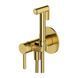 Набор гигиенического душа скрытого монтажа Omnires Y brushed brass SYSYBI2BSB, Золотой