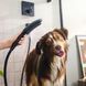 Ручний душ Hansgrohe DogShower 150 3Jet Matt Black 26640670