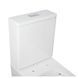 Унитаз-компакт Qtap Crow безободковый с сиденьем Soft Close QT05222170W, Белый