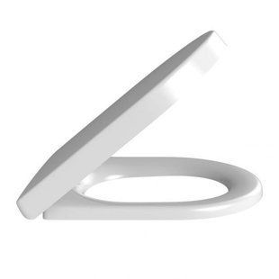 Сидение для унитаза Villeroy & Boch Omnia Architectura 98M9C101, Белый