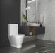 Унитаз-компакт Koller Pool Twist с сиденьем Soft Close TW-0610-RC-C+TW-0610-RC-T, Белый