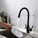 Змішувач для кухні під фільтр Frap з гнучким виливом F4396-6, Черный матовый