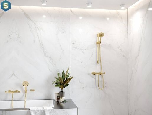 Ручний душ Hansgrohe Raindance Select S 120 3jet EcoSmart 9L Polished Gold Optic 26531990
