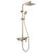 Душевая система Rea Bravo brushed gold с изливом REA-P4121, Золотой