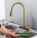 Змішувач для кухні Rea Conor brushed gold REA-B6312, Золотий