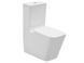 Унитаз-компакт Asignatura Angle 87802505 с сидением Soft Close, Белый