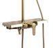Душевая система Rea Bravo brushed gold с изливом REA-P4121, Золотой
