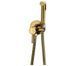Набор гигиенического душа Mexen Elba gold MEX-7599250-50, Золотой