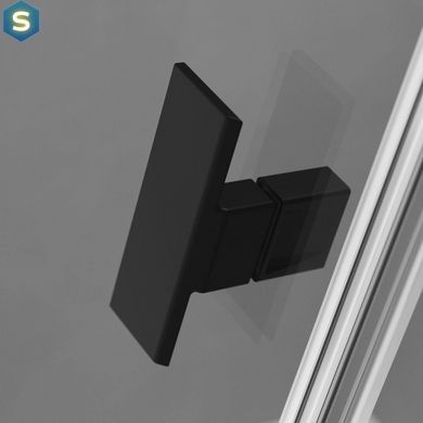 Душові двері Radaway Nes Black DWJ II 120 см 10036120-54-01R