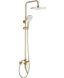Душевая система Rea Argus brushed gold с изливом REA-P7841, Золотой