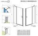 Душові двері Radaway Nes Black DWJ II 120 см 10036120-54-01R