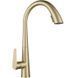 Змішувач для кухні Rea Ross brushed gold REA-B5312, Золотий