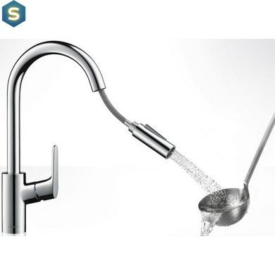 Змішувач для кухні Hansgrohe Focus M41 31815000