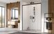 Душові двері Radaway Idea Black DWD 170 см 387127-54-01
