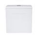 Унитаз напольный Qtap Tern Ultra Quiet безободковый с сиденьем Soft-Close QT17222175AUQ1W White, Белый