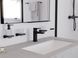 Гачок подвійний Hansgrohe AddStoris 3.6 х1.6 x 6.6 см Brushed Black 41755340