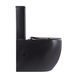 Унитаз напольный Qtap Robin Ultra Quiet безободковый с сиденьем Soft-Close Black matt QT13226083AMB, Черный матовый
