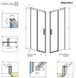 Душові двері Radaway Idea Black DWJ 150 см 387019-54-01R