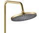 Душова система Rea Marco brushed gold з виливом REA-P8548, Золотий