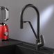Смеситель для кухни на две воды Am.Pm Like black F8007822, Черный матовый