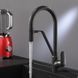 Смеситель для кухни на две воды Am.Pm Like black F8007822, Черный матовый