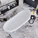 Ванна отдельностоящая глянцевая Amidicon Symphony 167x78 черная из литого камня серебряные ножки SYMFONIYA_167_s_BLACK_HL, Черно-белый