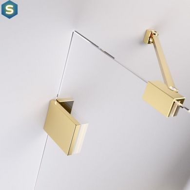 Шторка для ванни Radaway Essenza Pro Gold PND II 120 10102120-09-01R права