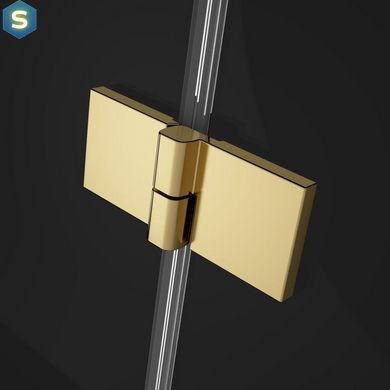 Шторка для ванни Radaway Essenza Pro Gold PND II 120 10102120-09-01R права